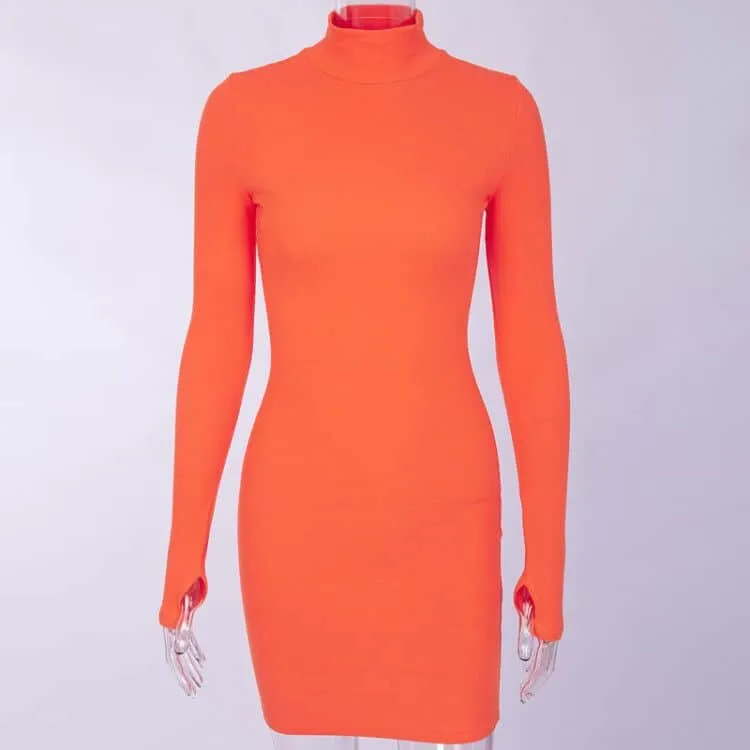 Smooth Feel Fall Flow Women's Ribbed Knitted Turtleneck Mini Dress