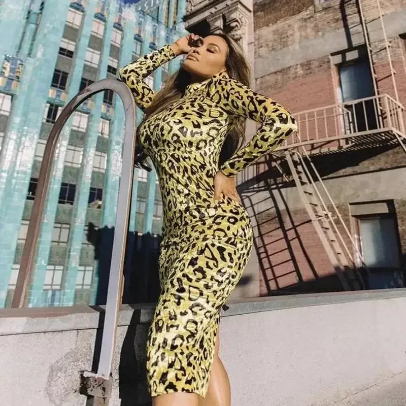 Heart Soul StaticResistant Velvet Leopard Dress