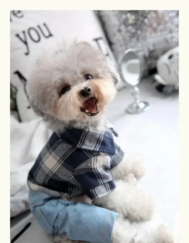 Training Wear Pet Plaid Shirt With Pants
