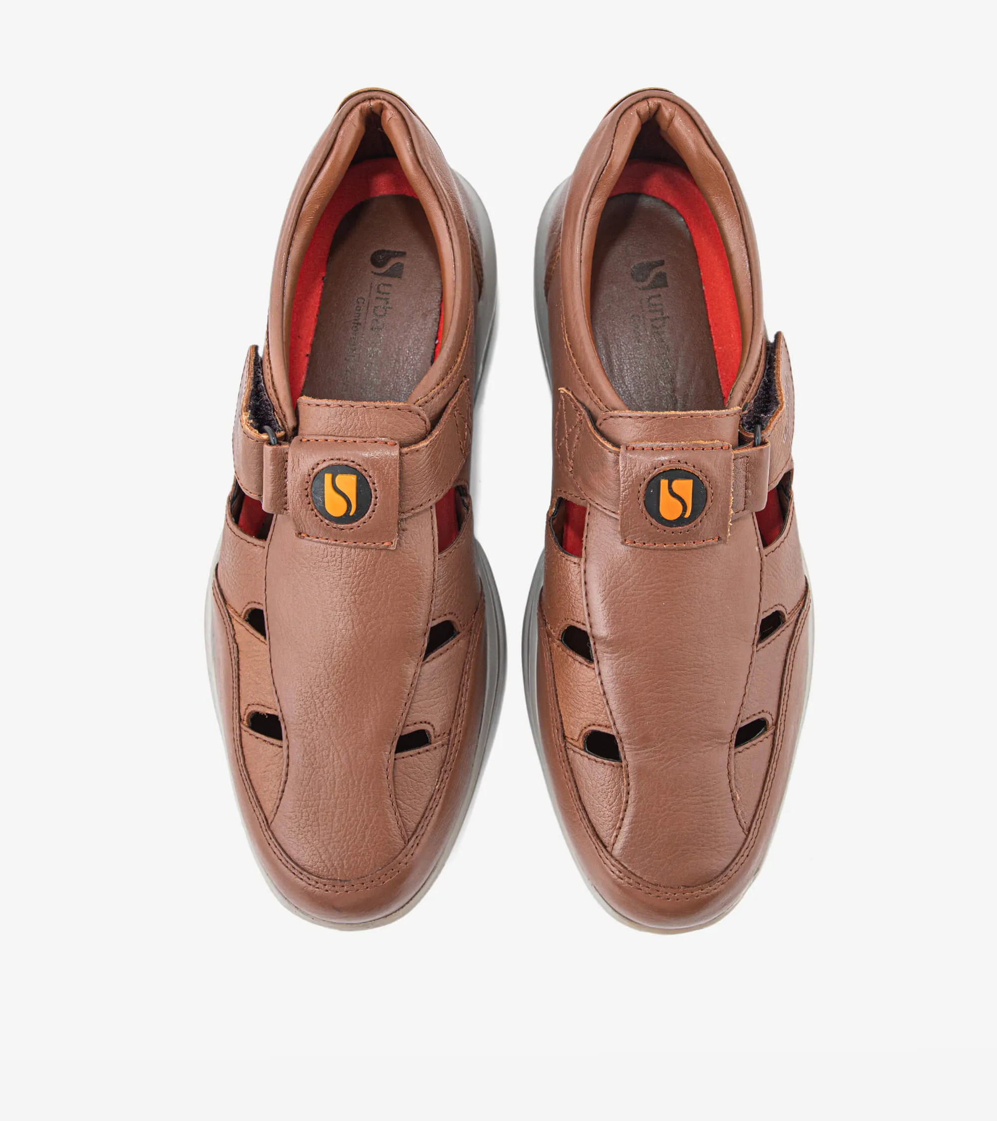 Distinctive Design Transformer 2.0 US-TF-5101