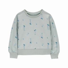 Toddler Girls' Ballet Crew Neck Cotton Pullover 2R831410 Comfortable Layer AntiPillingFinish