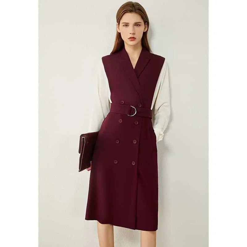 Stylish Layer Women's Minimalism Autumn Dress