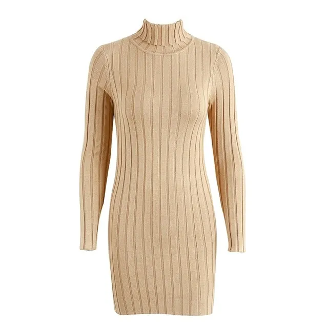 Women's Turtleneck Sweater Bodycon Dress Petal Zone